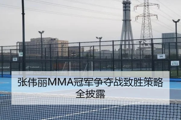张伟丽MMA冠军争夺战致胜策略全披露